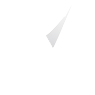 Bright Brothers Strategy Group