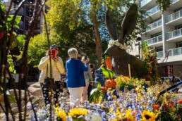 Teme Blooms floral festival in Arizona